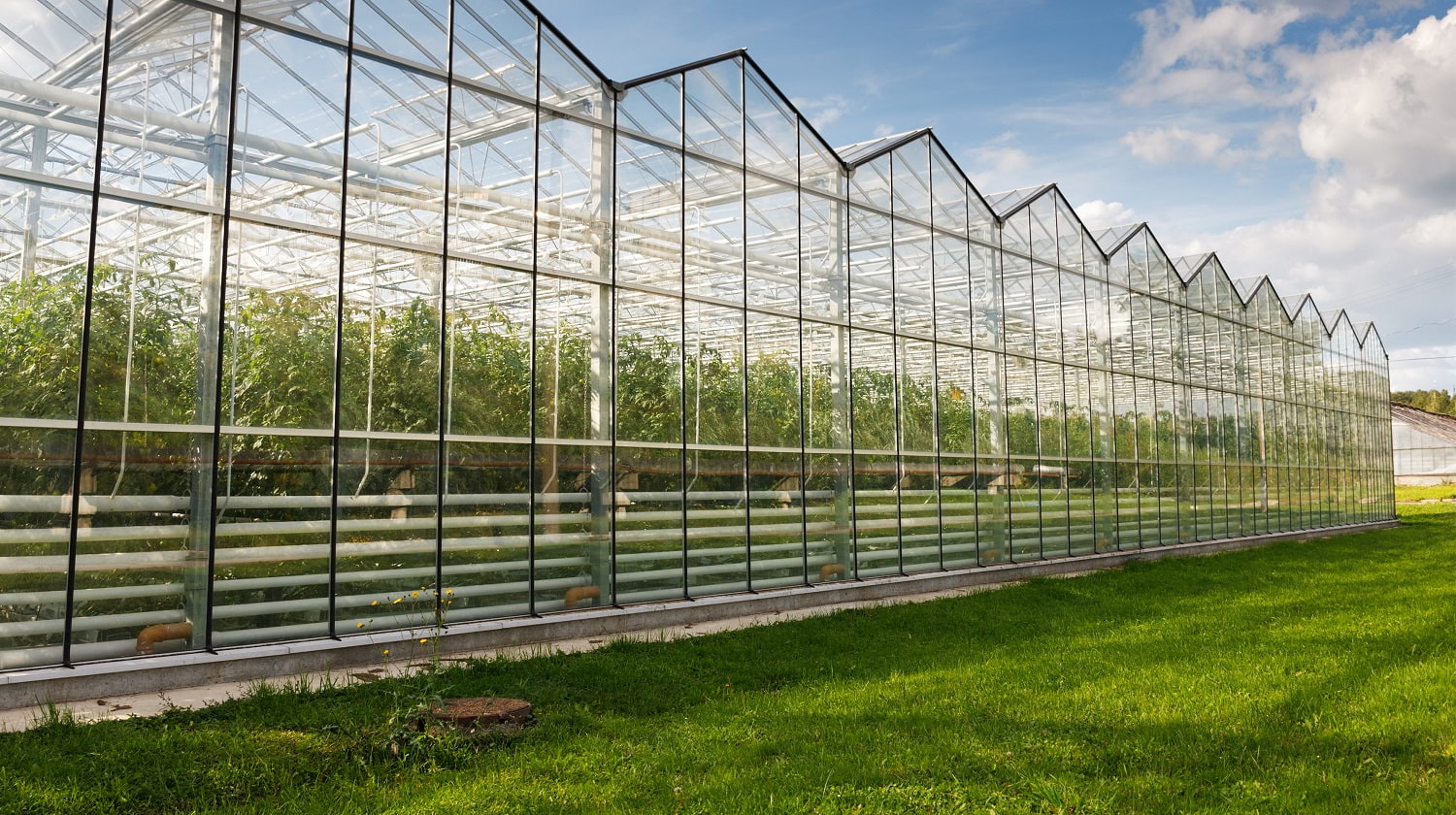 Exterior of a commercial greenhouse