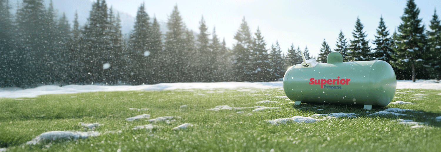 carbon tax updates 2025