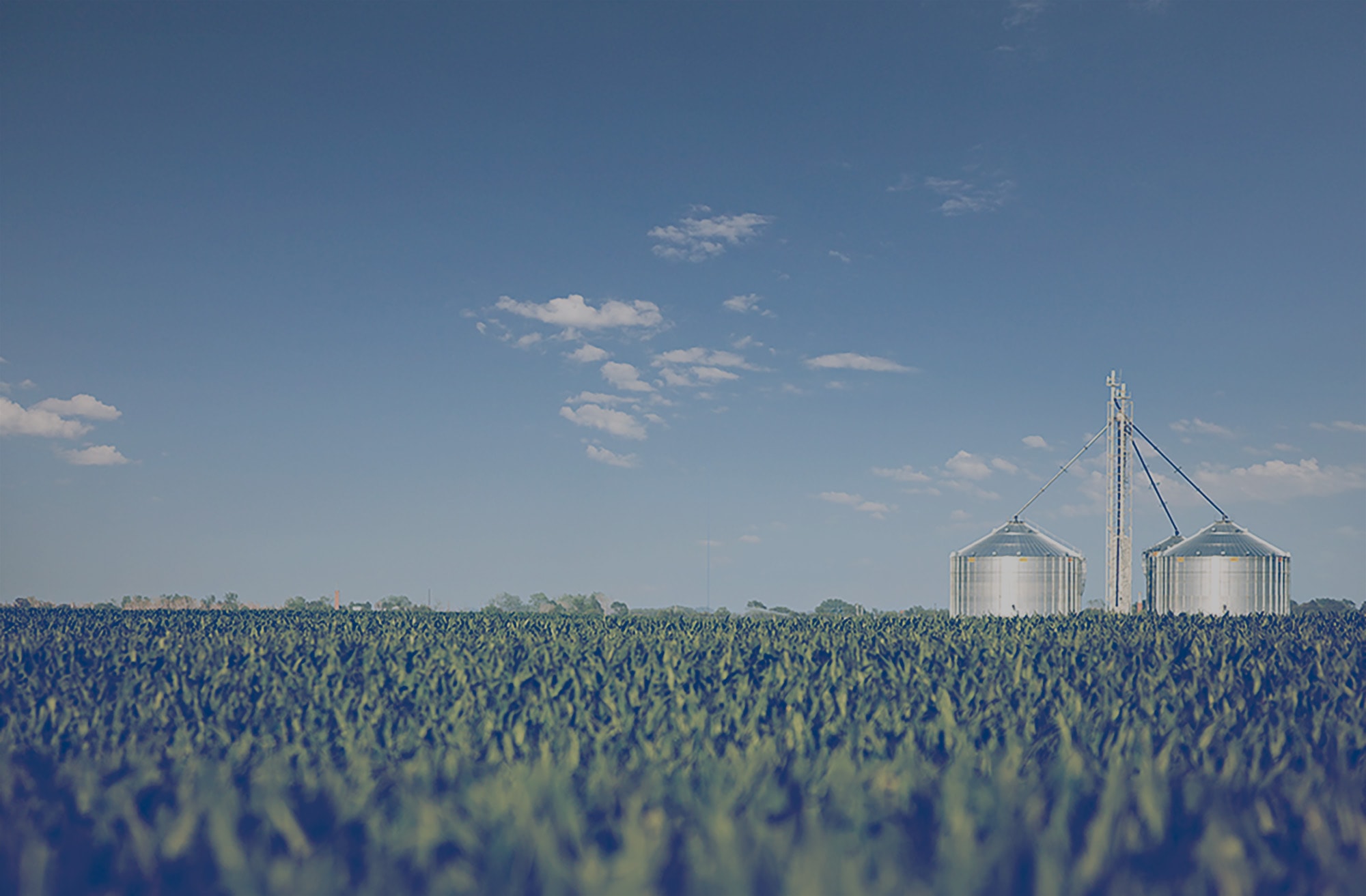 Two silos in the middle of a field. 