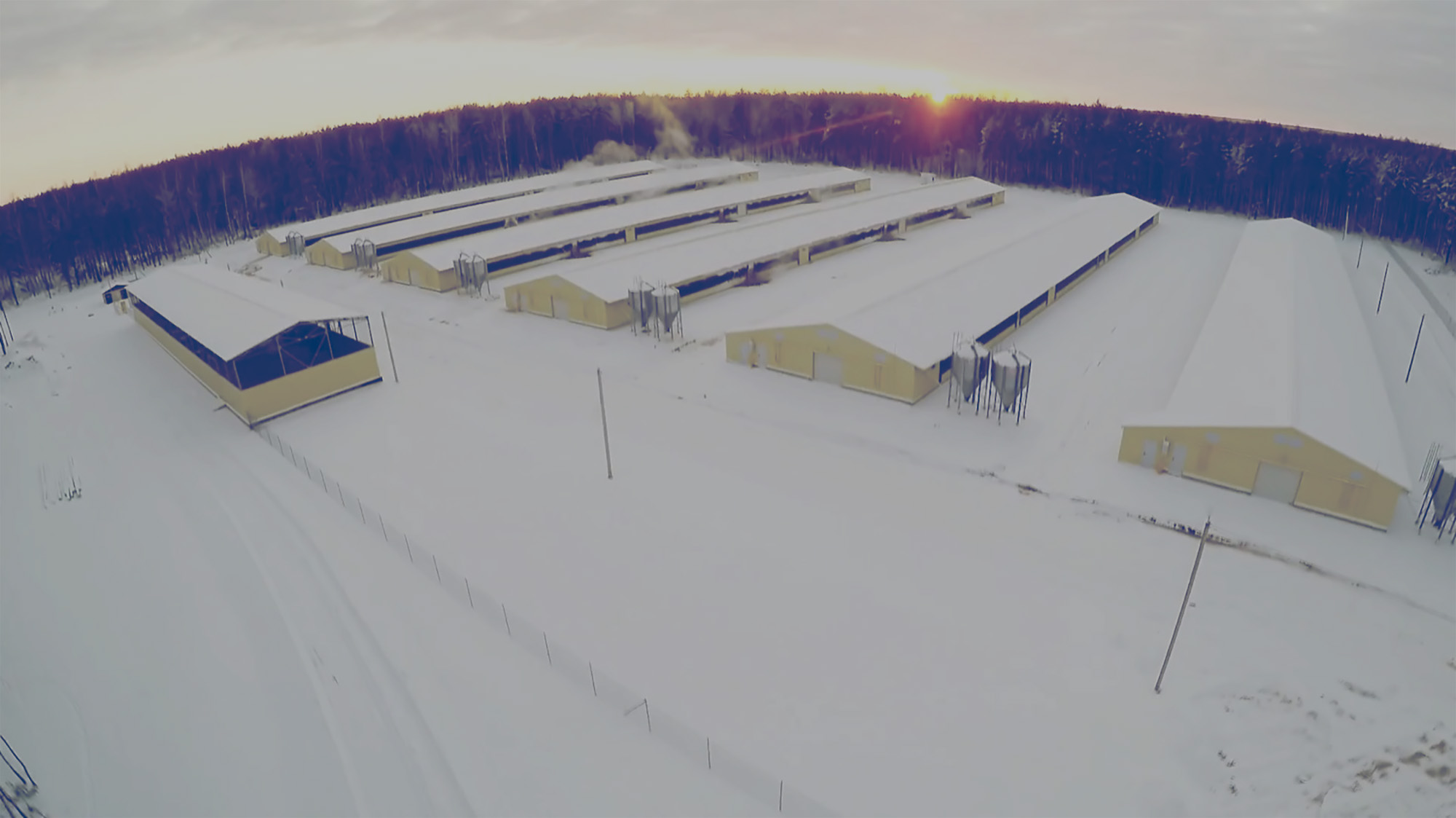 Industrial sized farm in winter. 