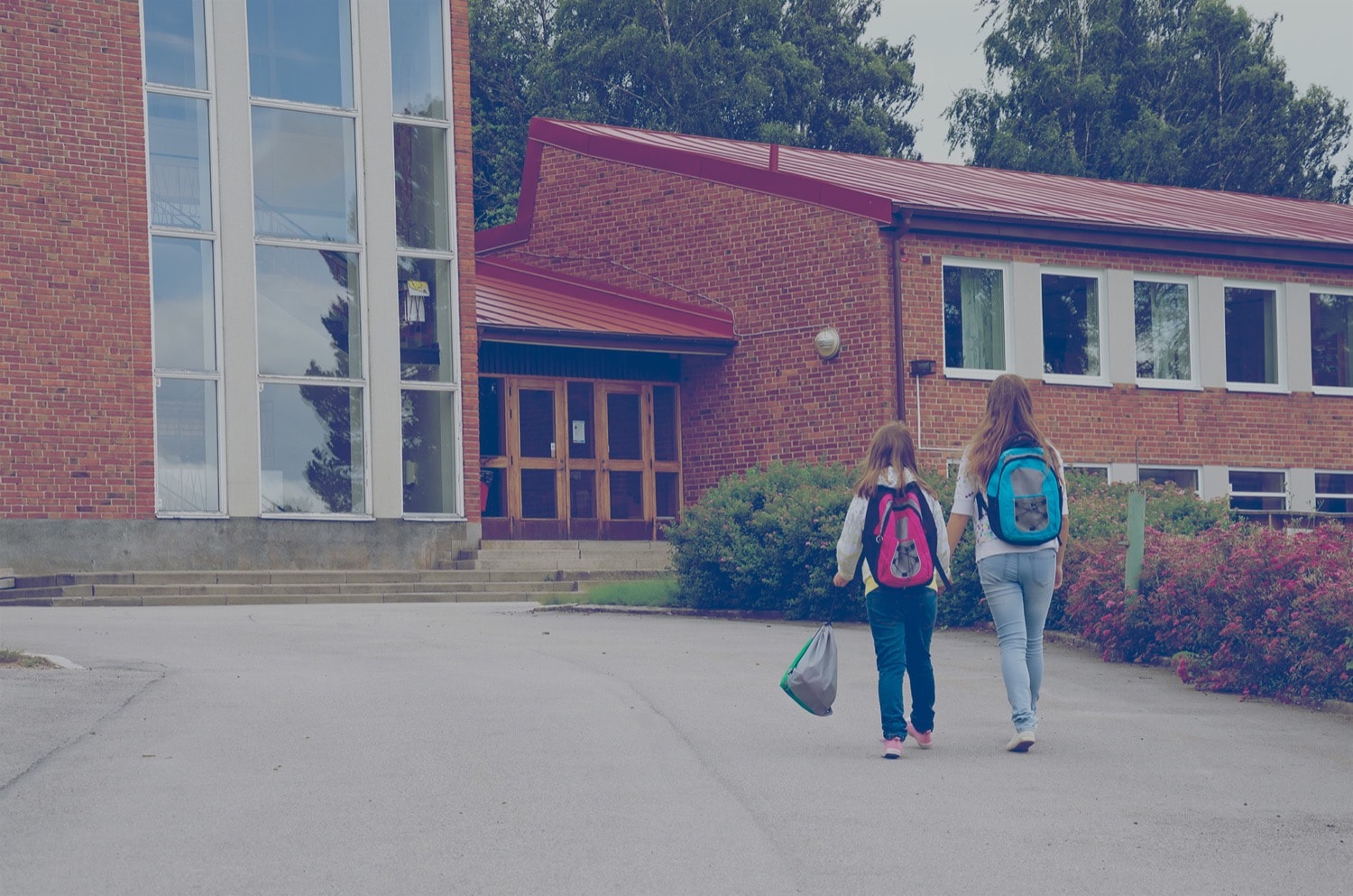 Two students walking up a road leading to a public library. 
