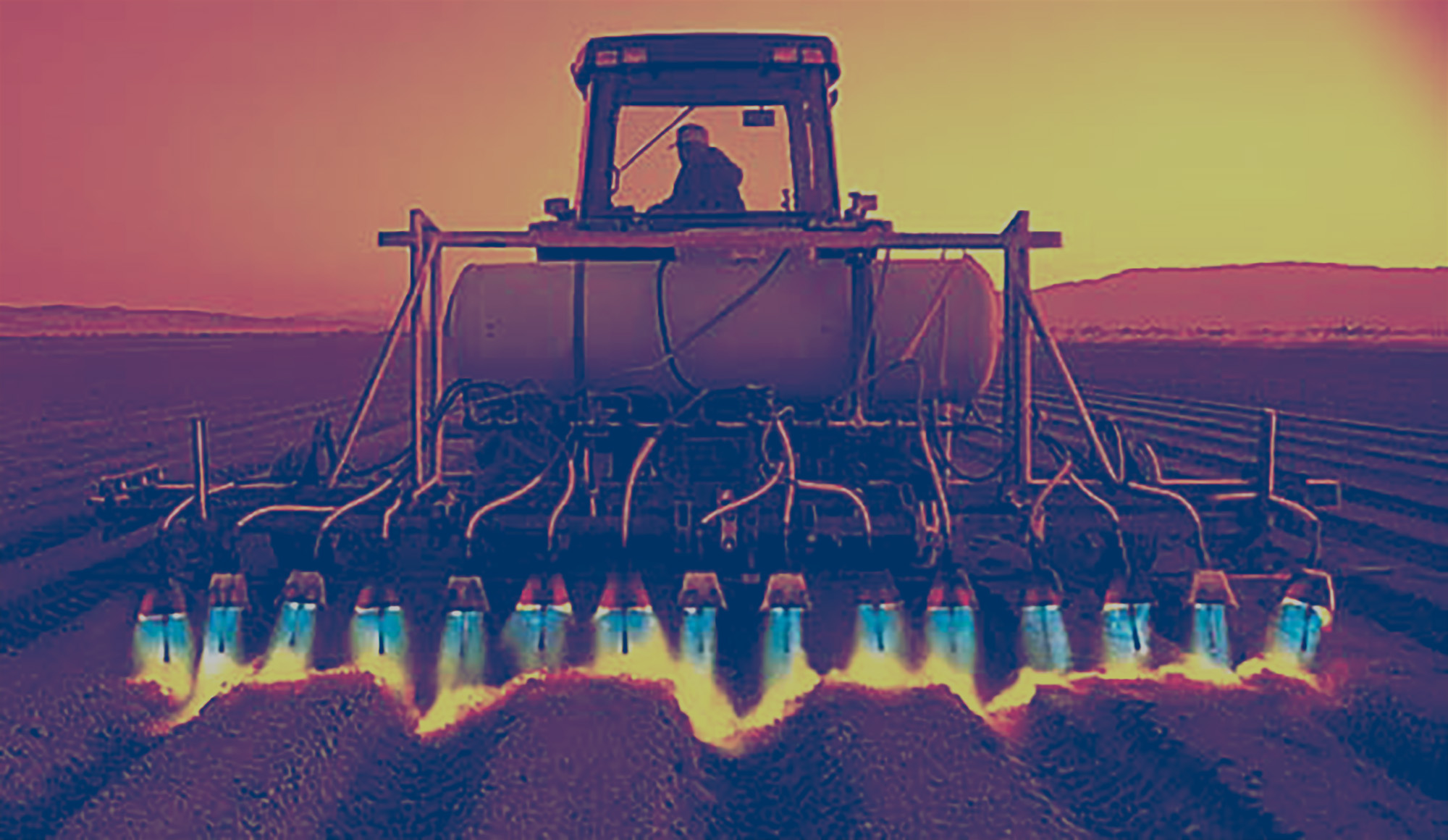 A person driving a tractor in a field with a propane-fueled flame on the back for weed control.