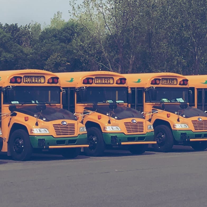 Yellow school buses parked beside each other. 