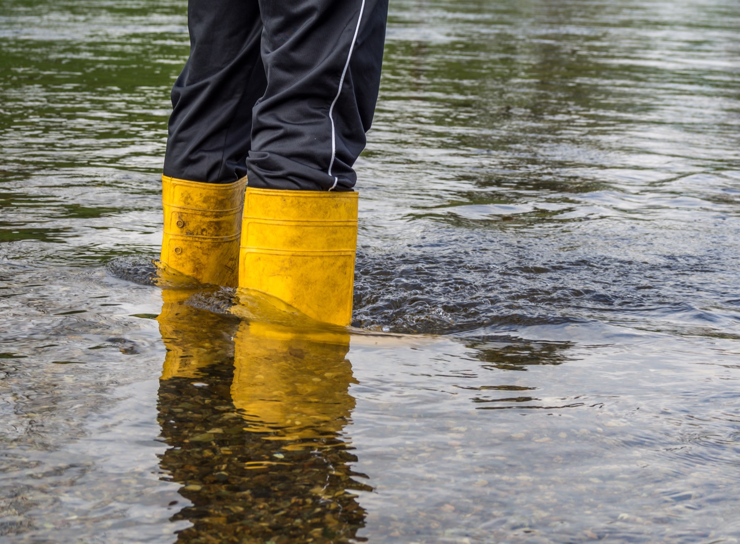 Man wearing yellow boots standing in ankle-deep water. 