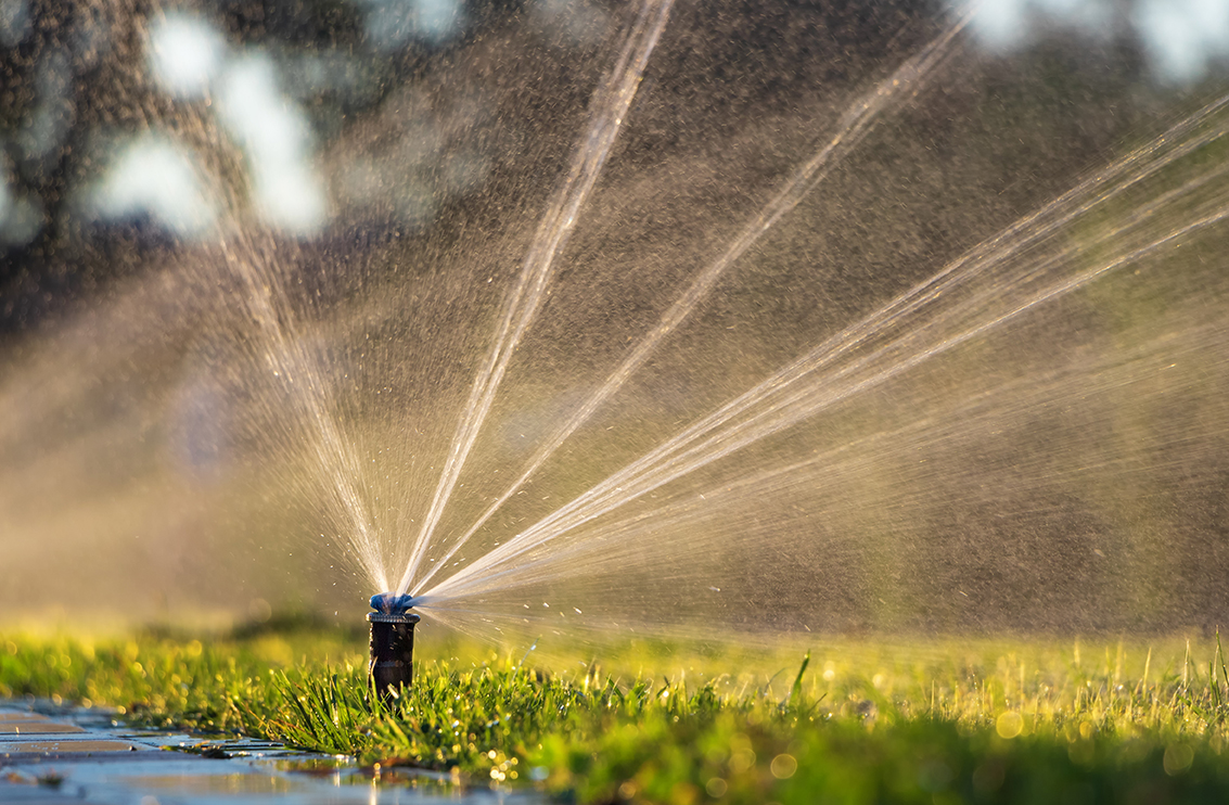 Sprinkler watering the lawn